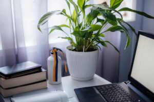 A cozy workspace features a laptop, notebooks, a white plant pot with greenery, and a bottle with colorful ribbons against sheer curtains.