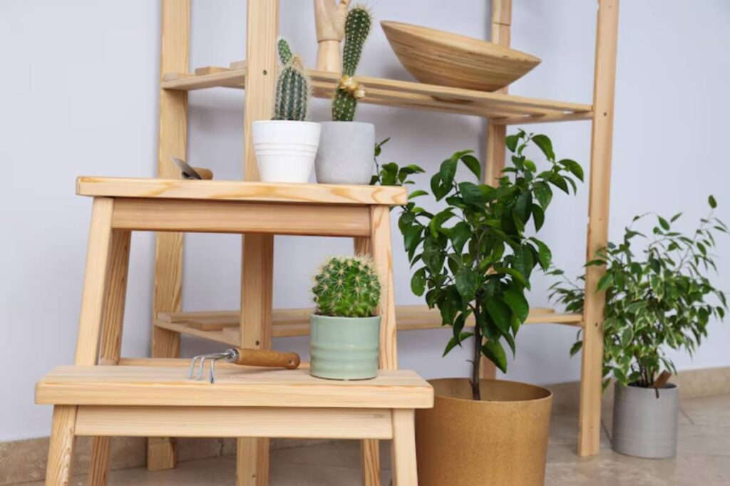 A wooden shelving unit displays various potted plants, including cacti and leafy greens, beside a wooden stool and gardening tool.