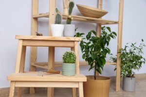 A wooden shelving unit displays various potted plants, including cacti and leafy greens, beside a wooden stool and gardening tool.