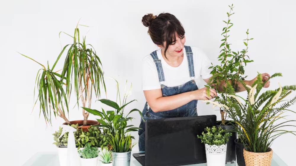 A person in denim overalls tends to various indoor plants on a glass table, surrounded by greenery and gardening tools.