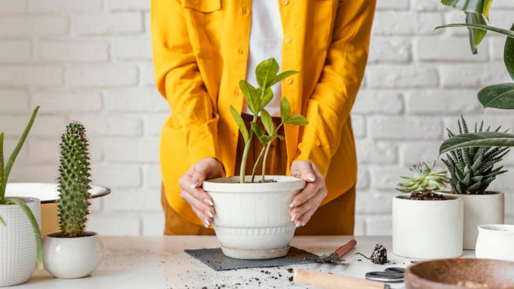 A person in a yellow shirt plants a green plant in a white pot, surrounded by various other plants and gardening tools on a table.