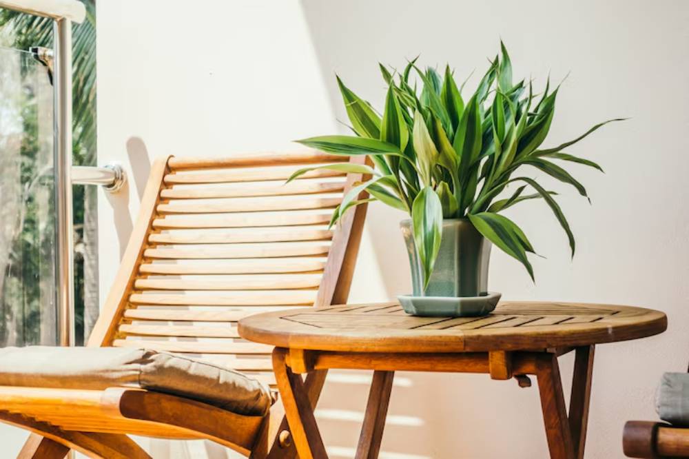 A wooden chair beside a round table with a potted green plant, illuminated by natural light in a cozy setting.
