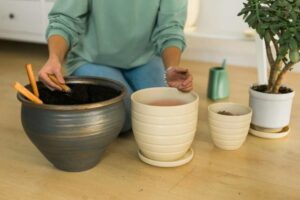 A person in a green sweater plants in a large gray pot, with various smaller pots nearby, on a wooden floor in a cozy space.