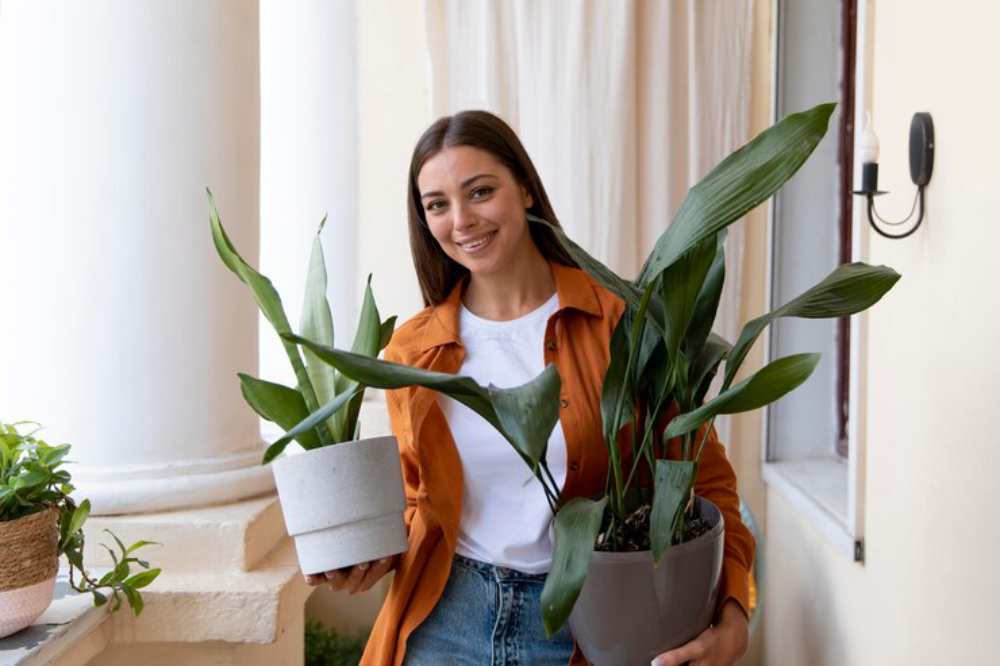 A woman holds two potted plants, one in a white planter and the other in a dark grey pot, against a backdrop of curtains and columns.