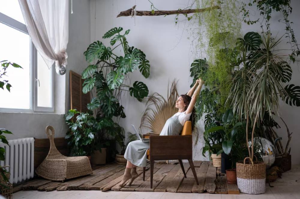 A serene indoor space filled with lush green plants, a comfortable wooden chair, and warm natural light streaming through a window.