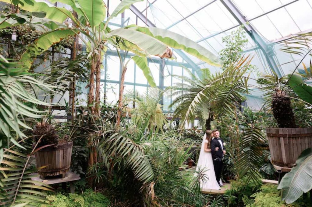 A couple in formal wedding attire stands amidst lush tropical plants in a greenhouse, surrounded by vibrant greenery and natural light.