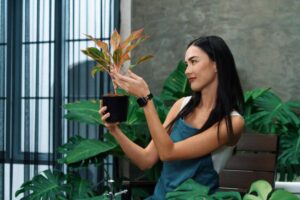 A person wearing an apron admires a colorful potted plant, surrounded by vibrant green foliage in a bright indoor space.