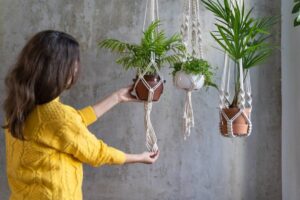 A woman in a yellow sweater holds a macramé plant hanger with vibrant green plants, against a textured gray wall.