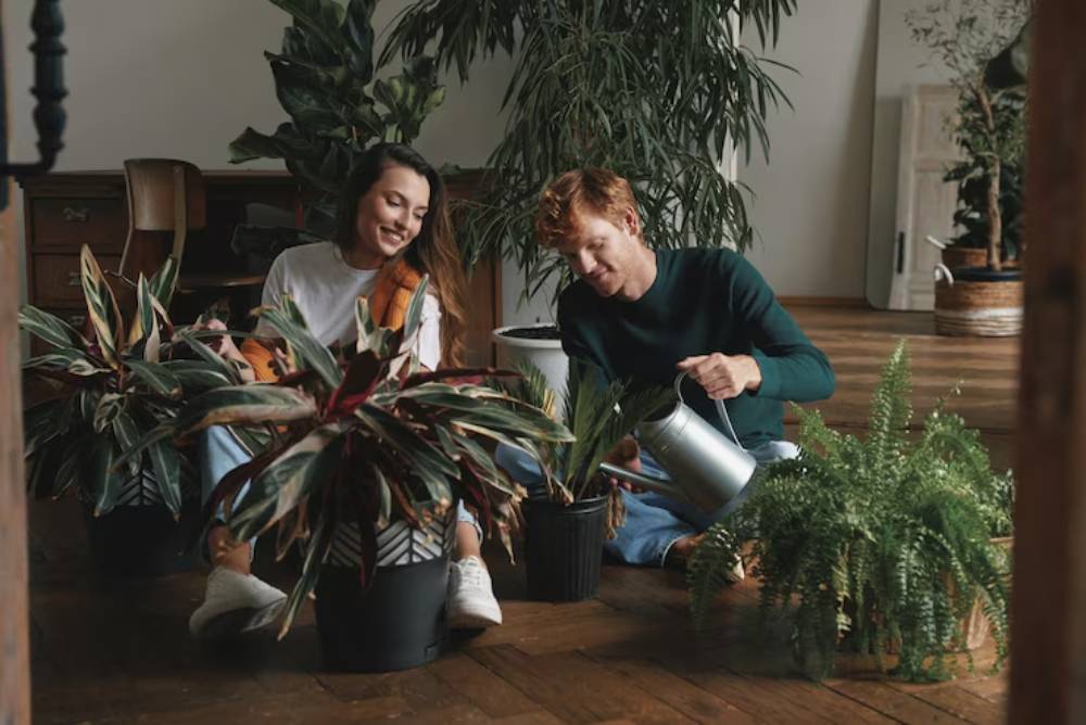 Two people are surrounded by various houseplants, watering and caring for them in a cozy indoor setting with wooden flooring.