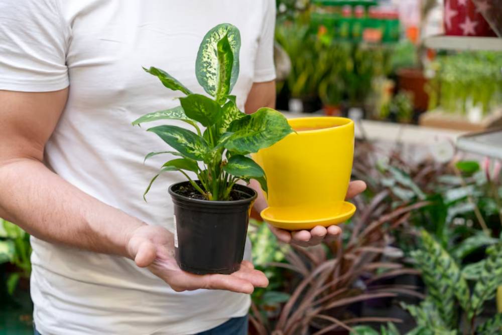A person holds a potted plant and a bright yellow planter in a lush garden center filled with greenery.