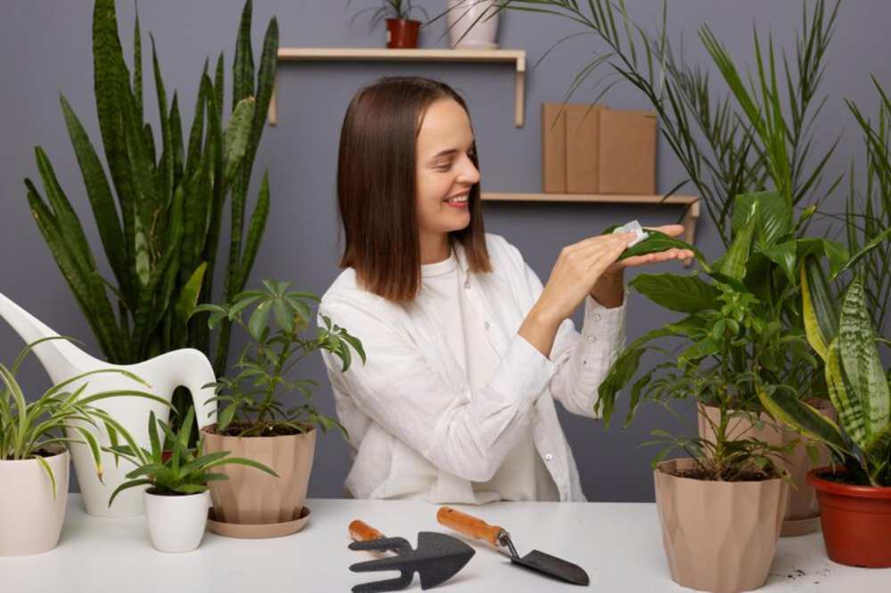 A person tending to houseplants on a table, demonstrating care techniques amidst various green plants and gardening tools.