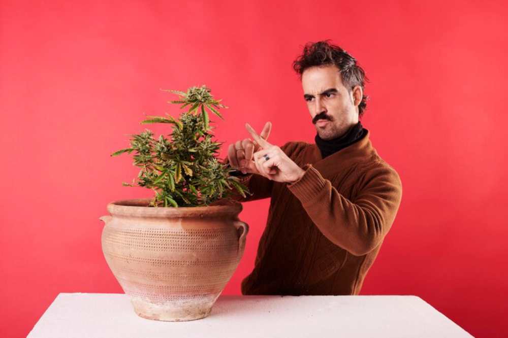 A person in a brown sweater gestures with hands near a lush green plant in a clay pot, against a bright red background.
