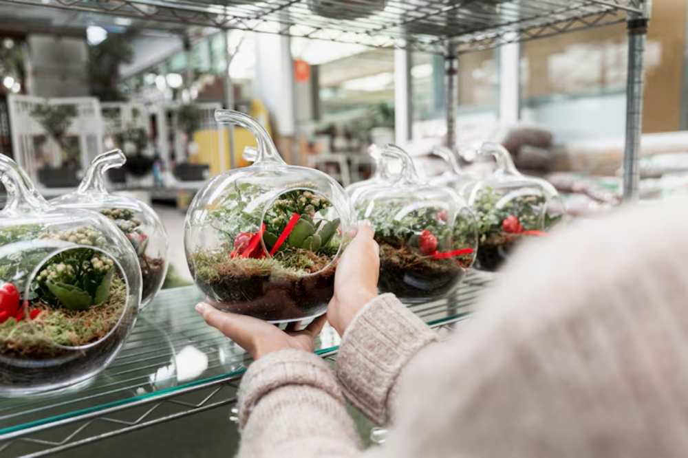 A person holds a glass terrarium with plants inside, surrounded by similar terrariums on a shelf in a garden center.