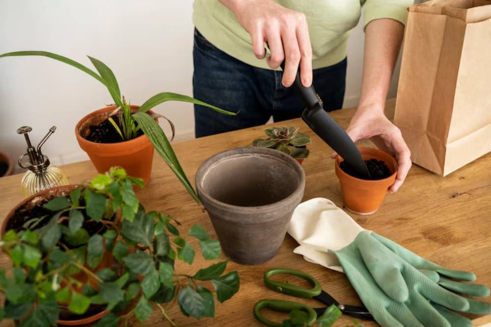 A person repots a small plant using a trowel, surrounded by various plants, gardening gloves, scissors, and a paper bag on a wooden table.