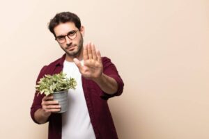 A person wearing a burgundy shirt holds a potted plant and raises a hand in a stopping gesture against a light beige background.