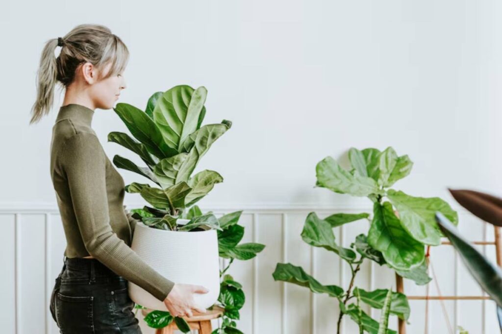 A person in a green sweater holds a large indoor plant in a white pot, surrounded by lush greenery in a bright room.