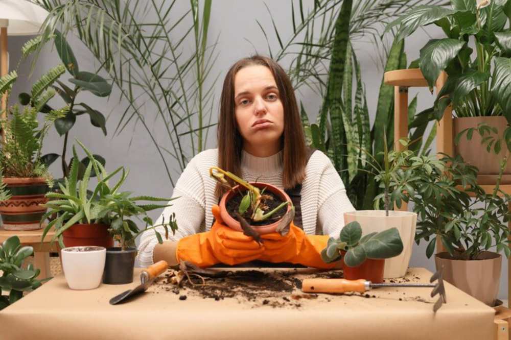 A person in orange gloves holds a potted plant surrounded by greenery and gardening tools on a table with soil scattered around.