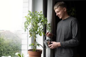 A person in a gray long-sleeve shirt is watering a green plant in a brown pot by a window with soft natural light.
