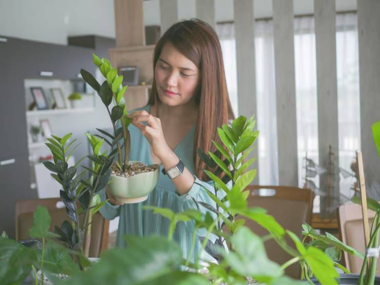 A person tends to a potted plant among lush greenery in a bright, modern indoor space with wooden accents.