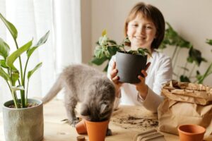 A person holds a potted plant while a gray cat inspects a smaller terracotta pot on a wooden table surrounded by plant supplies.