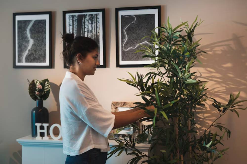 A person in a white shirt tends to a lush green plant in a stylishly decorated room with framed art and decorative items.