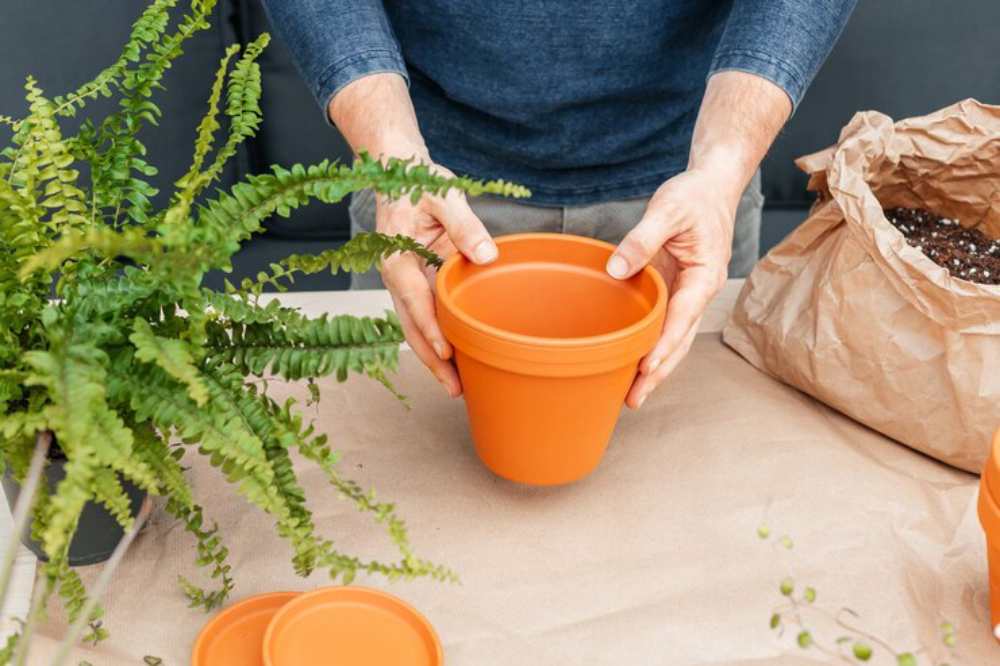 A person holds an orange plant pot, surrounded by ferns, soil in a paper bag, and gardening tools on a beige table.