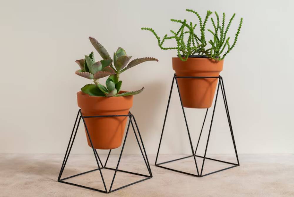 Two potted plants in orange terracotta pots, elevated on black geometric stands, against a neutral wall.