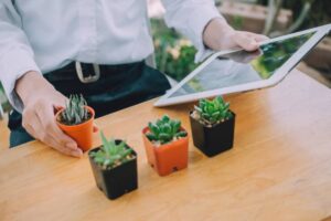 A person in a white shirt holds a small orange potted cactus while using a tablet, with three small succulent plants on a wooden table.