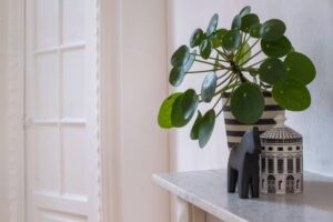 A green Pilea plant in a striped pot next to a black bear figurine and a decorative jar on a marble countertop against a white wall.